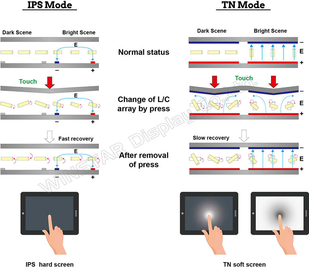 图C：IPS-mode与TN-mode TFT LCM液晶特性及触控手指下压产生水波纹的示意图