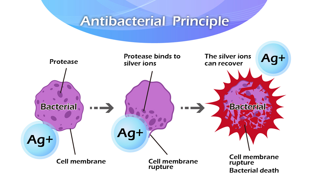 Şekil 2: Antibakteriyel prensibi