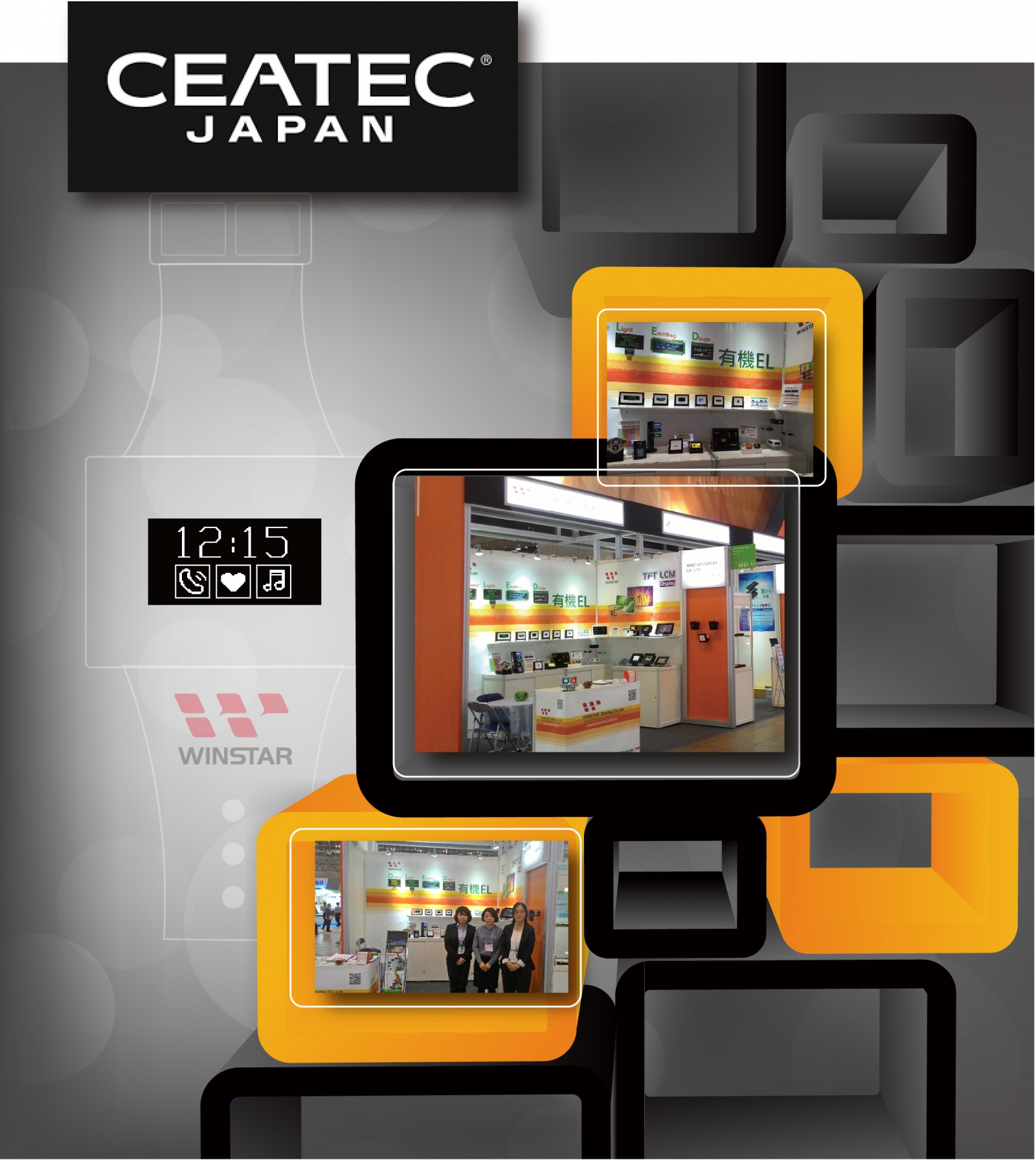 2015年日本最先端電子資訊高科技綜合展, CEATEC JAPAN - 華凌展覽照片
