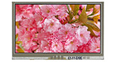 LCD TFT da 4,3 pollici con pannello touch resistivo e risoluzione 480x272 - WF43VTIAEDNT0