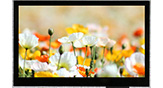 4.3寸480x272彩色广视角O-Film TFT LCD模块搭载电容式触控 - WF43VTZAEDNGA