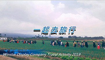 Company Travel Activity 2019