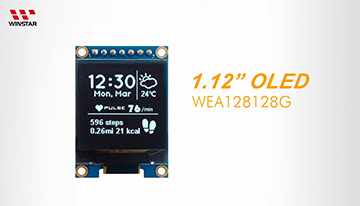 WEA128128G OLED video
