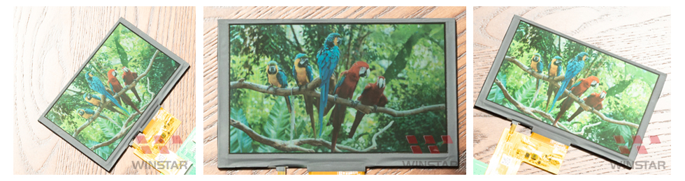 Transflective LCD-Technologie-2