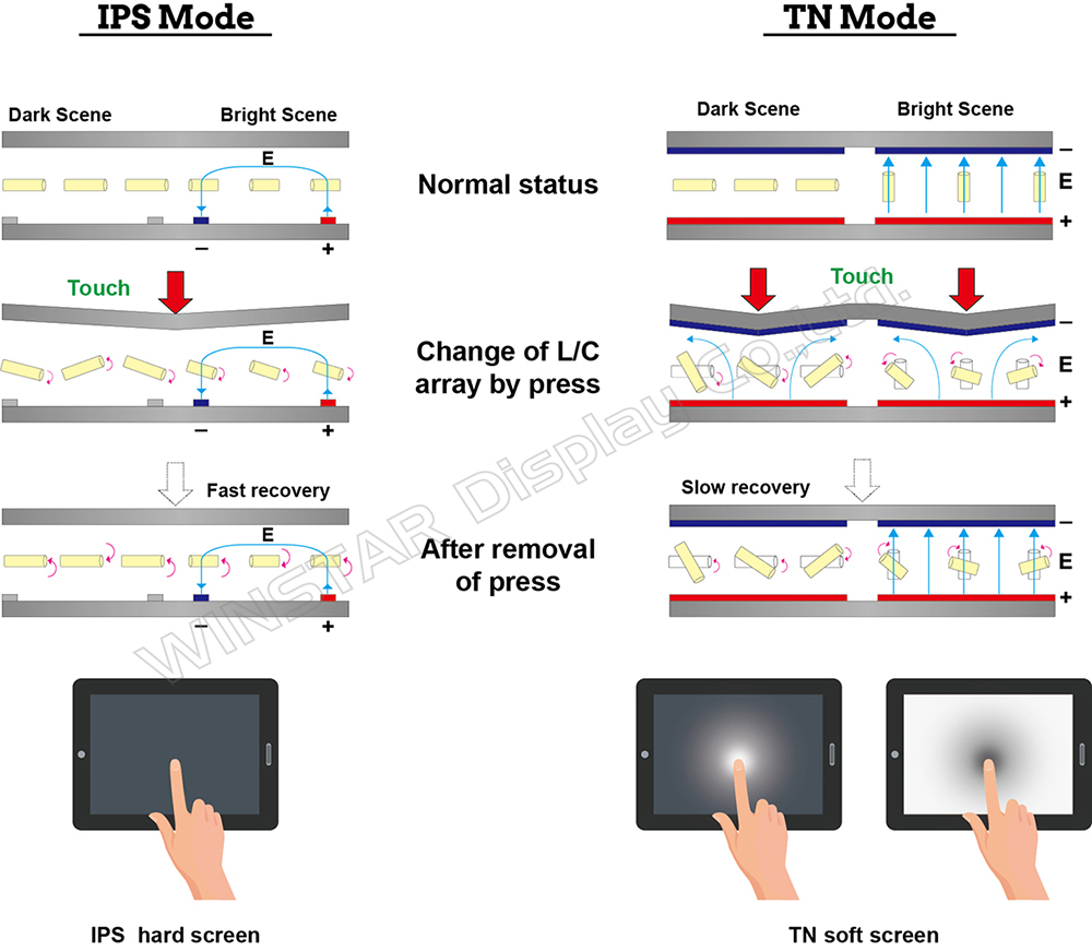 Figur C: Diagramm, das die Flüssigkristalleigenschaften und die Erzeugung von Wasserwellen zeigt, wenn Druck auf IPS- und TN-Modus-TFT-LCM ausgeübt wird.