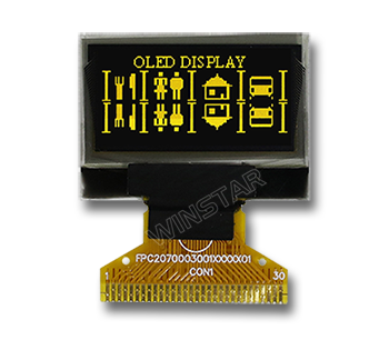 WEO012864C PMOLED Modül