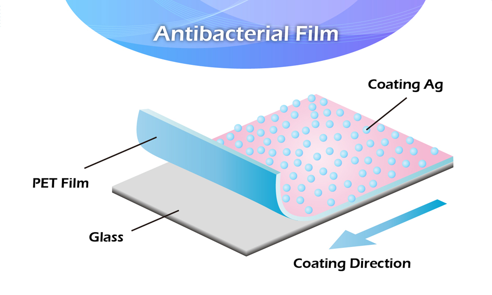 Figura 3: Pellicola antibatterica