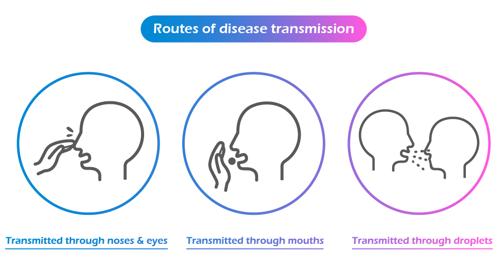 Routes of disease transmission