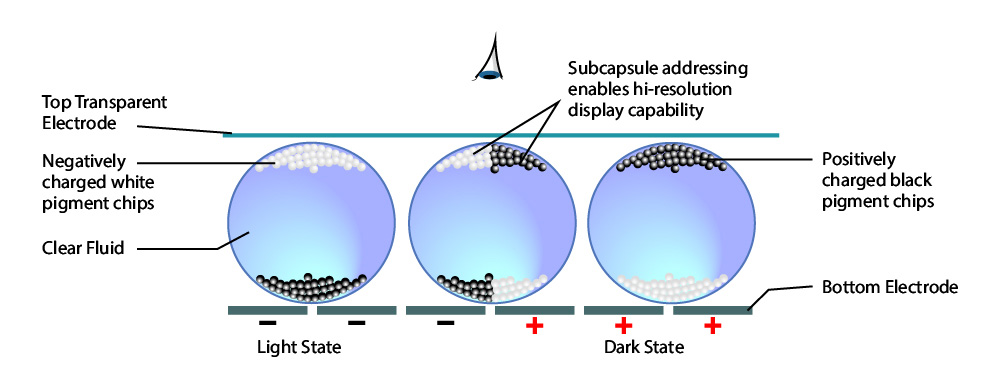 E-paper Display Technology Principles