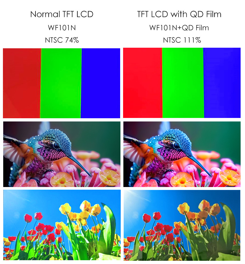 TFT Displays vs. Quantum Dot Displays