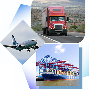Lunar New Year Holiday & Shipping Arrangements 2025