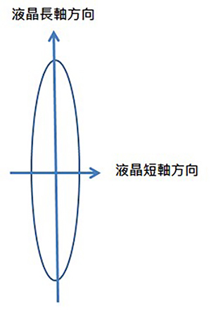 液晶分子軸向示意圖