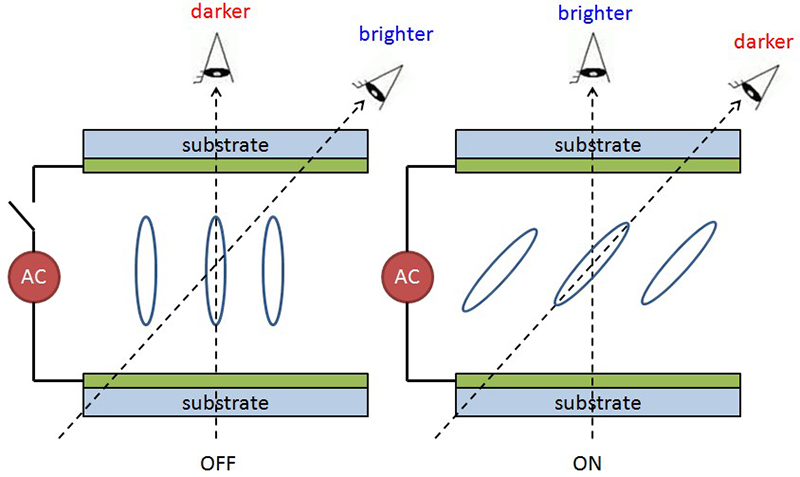 Cause for Gray-Scale Inversion