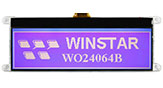 240x64 COG LCD дисплей - WO24064B