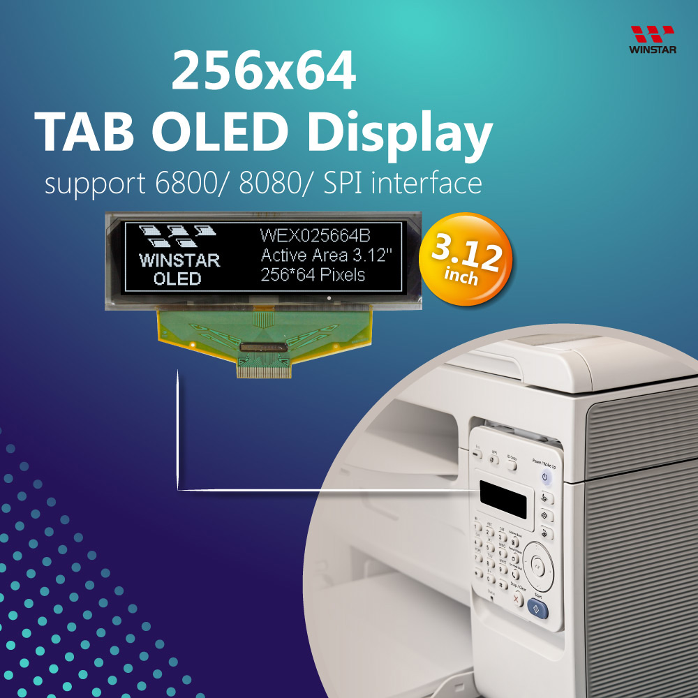 3.12인치 그래픽 OLED 디스플레이 모듈 - WEX025664B