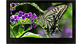 Tela LCD TFT com Toque de Tela Capacitivo alto Brilho de 4.3 polegadas, 480x272, RGB - WF43GSIAEDNGD