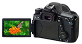 4.3 吋 TFT LCD 顯示模組：高亮度適用於工業應用 - WF43GSIAEDNN0
