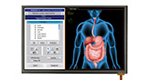 LCD TFT IPS LVDS 10,1 polegadas 1280x800 Com painel de toque resistivo, WF101KTYAPLNT0