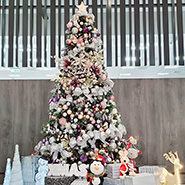 Enjoy setting up our Christmas tree!!