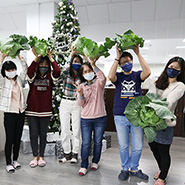 What a meaningful Chrismas gift with Cabbage to help vegetable farmer