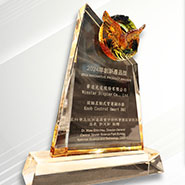 WINSTAR Won CTSP Innovation Award of 2024