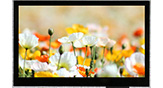 4.3-дюймовый 480x272 Широкоугольный O-Film TFT LCD модуль с емкостным сенсорным экраном - WF43VTZAEDNGA