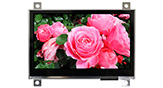 Display LCD TFT 4.3 con Touch Panel Capacitivo - WF43QTIBEDBGF