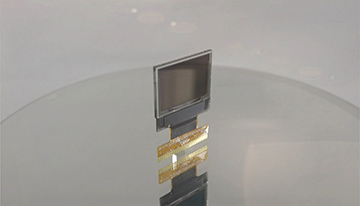 OLED製品は2019年台湾精品賞を品獎 - OLED WEO006448A