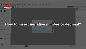 How to insert negative number or decimal - video
