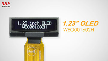 WEO001602H-video-s