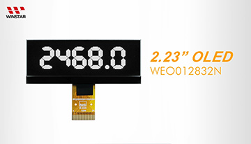 WEO012832N OLED video