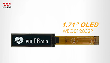 WEO012832P OLED video