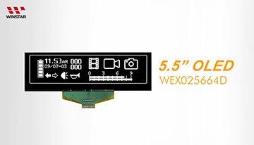 WEX025664D OLED video